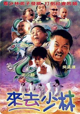 国产精品三极片